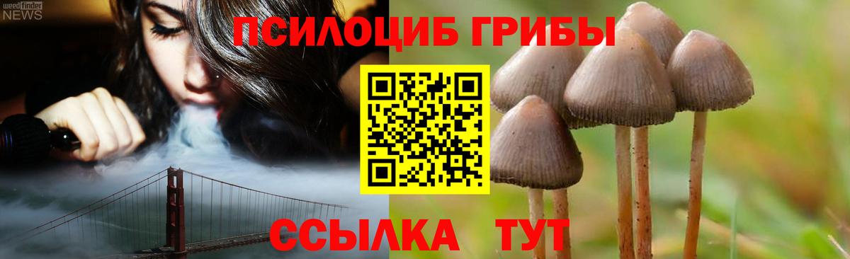 Артёмовский  Псилоцибиновые грибы мицелий  Вход с VPN 